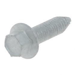 Picture of Screw