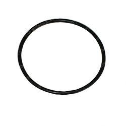 Picture of O-Ring