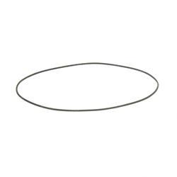 Picture of O-Ring