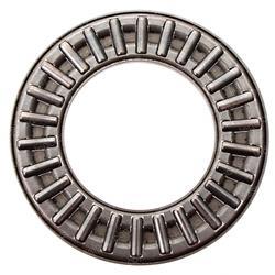 Picture of Bearing Thrust
