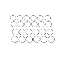 Picture of Piston Ring Set 1 Cyl 0.75