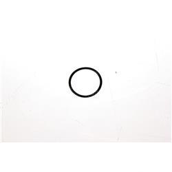 Picture of O-Ring