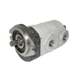 Picture of Tandem Pump Cast Iron
