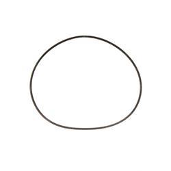 Picture of O-Ring