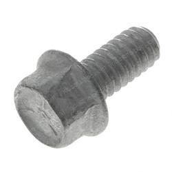 Picture of Bolt