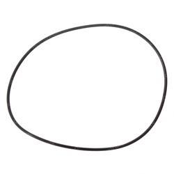 Picture of O Ring