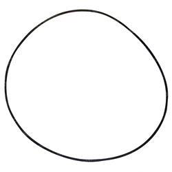 Picture of O-Ring