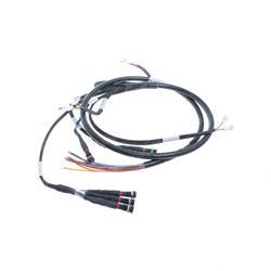 Picture of Wiring Harness