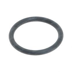 Picture of O-Ring