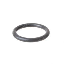 Picture of O-Ring