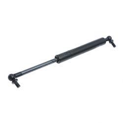 Picture of Gas Spring