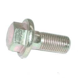 Picture of Bolt - Rim