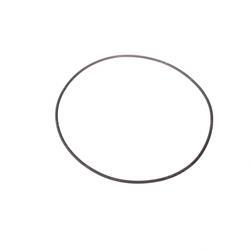 Picture of O-Ring
