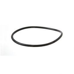 Picture of O-Ring
