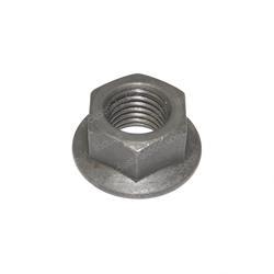 Picture of Nut