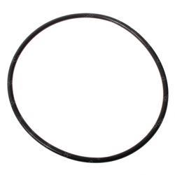 Picture of O-Ring