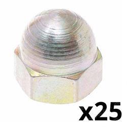 Picture of Nut-Sp Acorn5/16-18uncb633-100