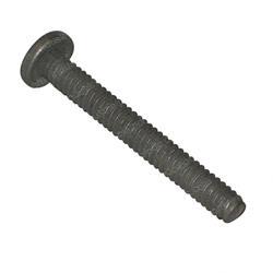 Picture of Screw