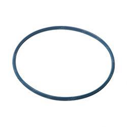 Picture of Seal
