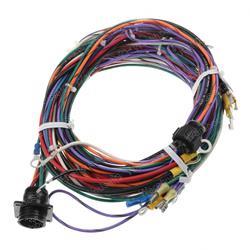 TAYLOR DUNN 75-148-77 HARNESS - CONTROL