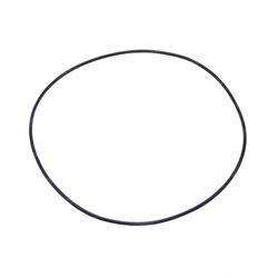 Picture of O-Ring