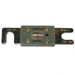 Picture of Fuse 100a