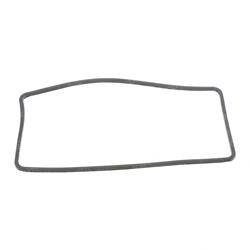Picture of O-Ring
