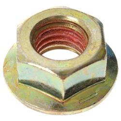 Picture of Nut