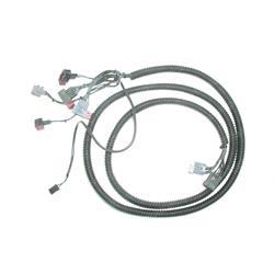 Picture of Harness