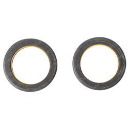 Picture of Ring-Seal