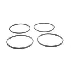 Picture of Piston Ring/O-Ring Kit