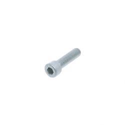Picture of Bolt