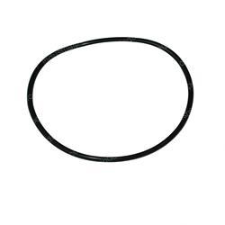Picture of O-Ring