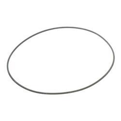 Picture of O-Ring