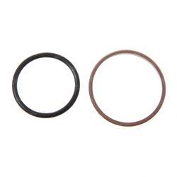 Picture of Piston Seal Assembly
