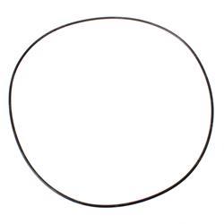 Picture of O-Ring