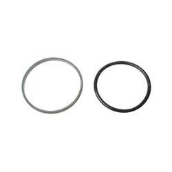 Picture of Seal- Slipper