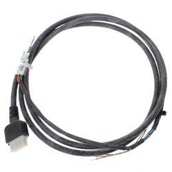 Picture of Harness