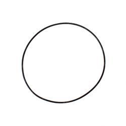 Picture of O-Ring