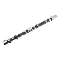 Picture of Camshaft Assy.