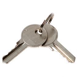 Picture of Key - Ronis 455 Bag of 100