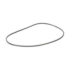 Picture of O-Ring