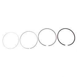 Picture of Assembly Piston Ring