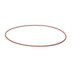 Picture of O-Ring