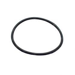 Picture of O-Ring