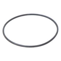 Picture of O-Ring