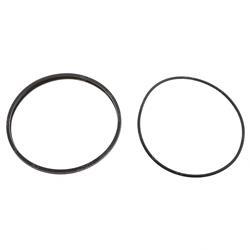 Picture of Seal - General