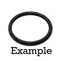 Picture of O-Ring