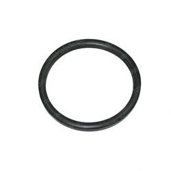 Picture of Gasket - Thermostat