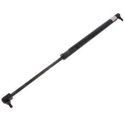 Picture of Gas Spring Door Door Gas Sprin